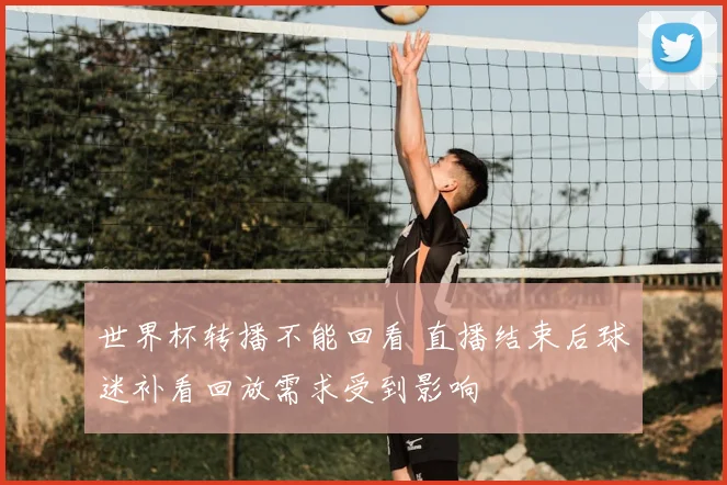 世界杯转播不能回看 直播结束后球迷补看回放需求受到影响