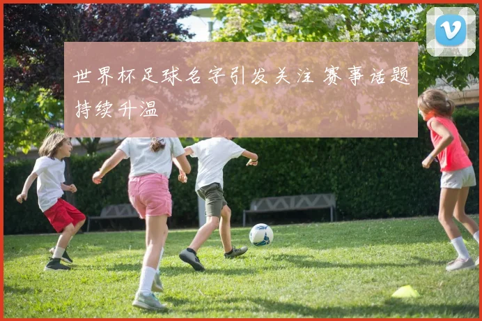 世界杯足球名字引发关注 赛事话题持续升温