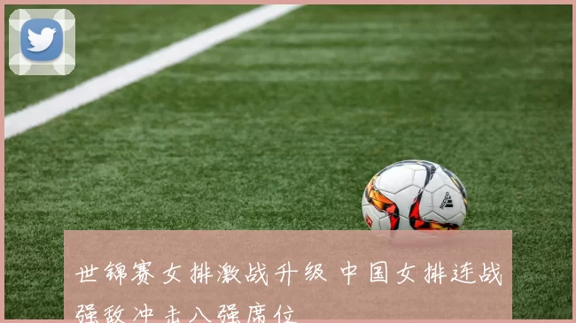 世锦赛女排激战升级 中国女排连战强敌冲击八强席位