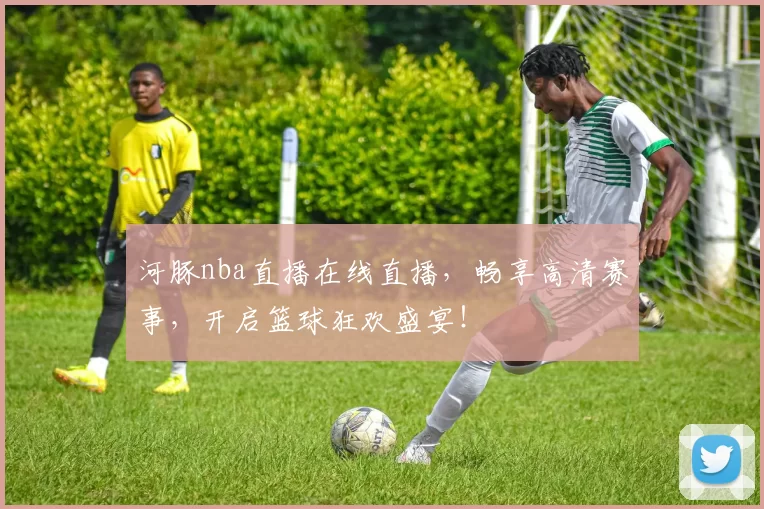 河豚nba直播在线直播,畅享高清赛事,开启篮球狂欢盛宴!