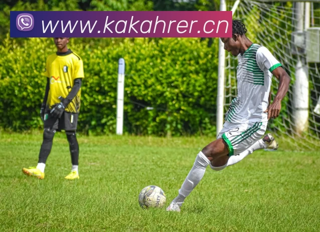 怀特塞德cba数据大揭秘！惊人表现背后藏着啥秘密？